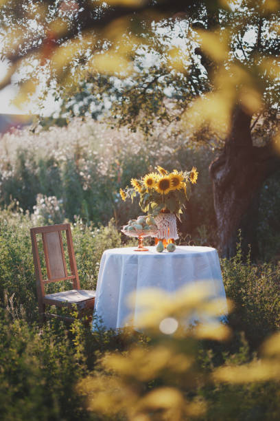 istock garden and still life 1398781192
