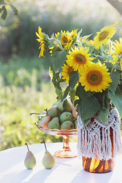 istock garden and still life 1398781206