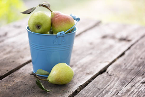 beautiful and healthy pears in a blue bucket on a wooden table\
