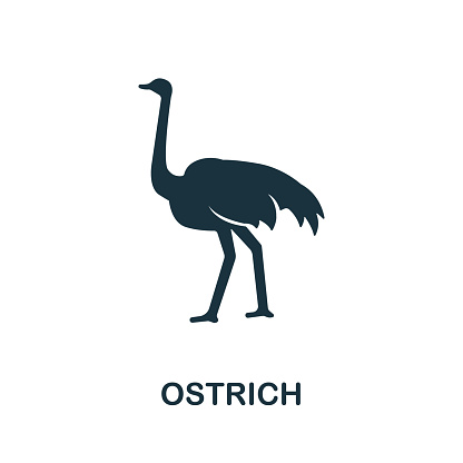 Ostrich icon from australia collection. Simple line Ostrich icon for templates, web design and infographics.