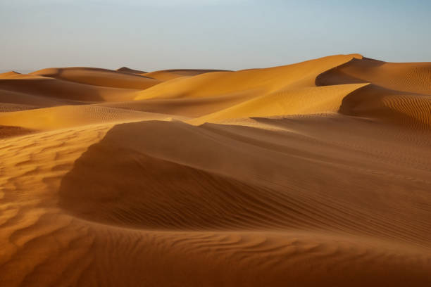 istock Sand blowing over sand dunes in wind 1398784907