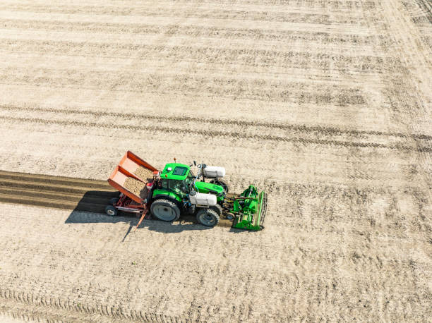 istock Tractor planting potato seeldings in  the soil during springtime 1398785450