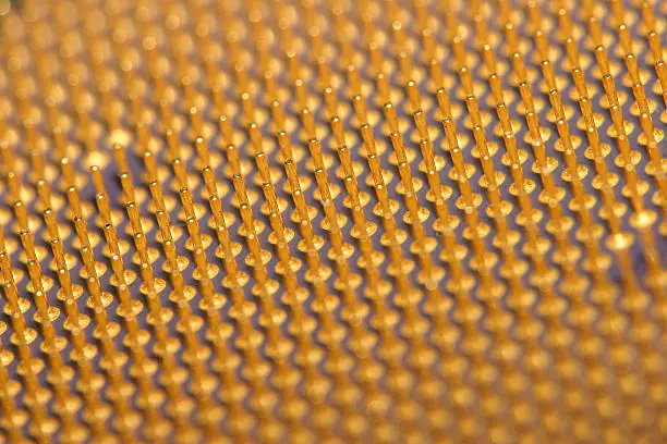 Macro image of CPU golden pins.