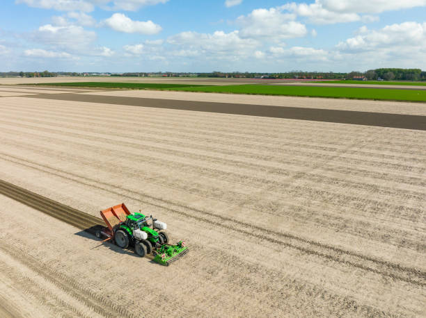 istock Tractor planting potato seeldings in  the soil during springtime 1398786724