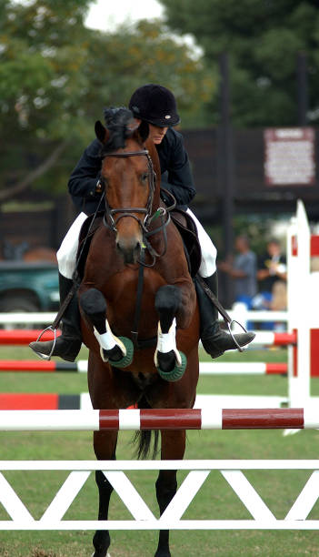 showjumper 및 말 분명했습니까 점프 - horse show jumping jumping performance 뉴스 사진 이미지