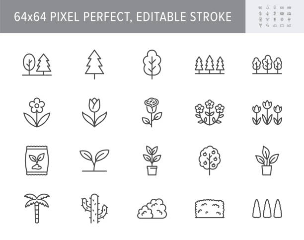 Plants line icons. Vector illustration include icon - green fence, houseplant, forest, seedling, wildflower, cactus outline pictogram for garden, tree and bushes. 64x64 Pixel Perfect, Editable Stroke Plants line icons. Vector illustration include icon - green fence, houseplant, forest, seedling, wildflower, cactus outline pictogram for garden, tree and bushes. 64x64 Pixel Perfect, Editable Stroke. plant stock illustrations