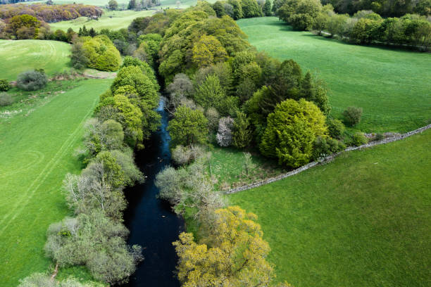 istock High angle view of a river in a rural location 1398791616