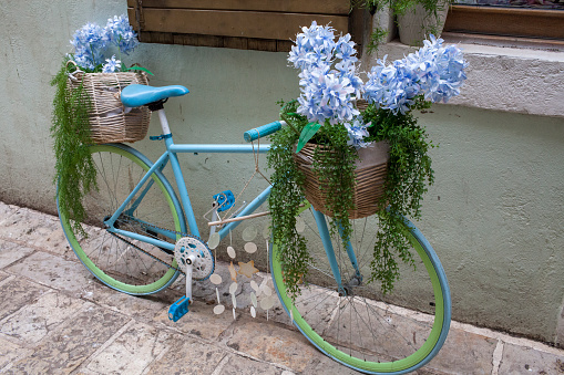 bicycle with flowers in basket standing on carpet in front of blue wall