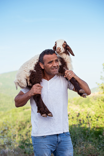 Portrait of a mid-age farmer holding a sheep on his shoulders outdoors.