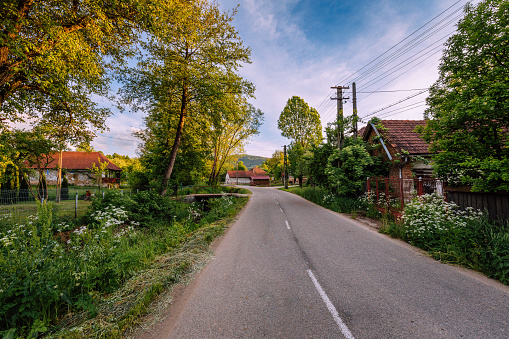 Color image depicting a quiet rural scene on the street of a village in Transylvania, Romania.
