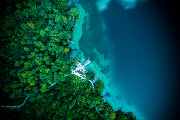 прямо над озером оберзее летом в национальном парке берхтесгаден - beach blue turquoise sea стоковые фото и изображения