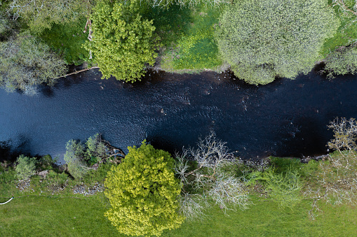 High angle view from a drone of trees growing beside a small river in a rural location in Scotland