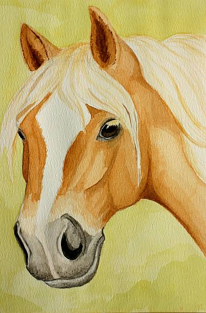 istock Haflinger horse painting 139879625