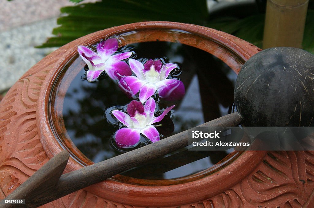 Orchids en agua - Foto de stock de Púrpura libre de derechos