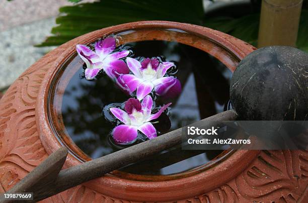 Orchids En Agua Foto de stock y más banco de imágenes de Púrpura - Púrpura, Terracota, Agua