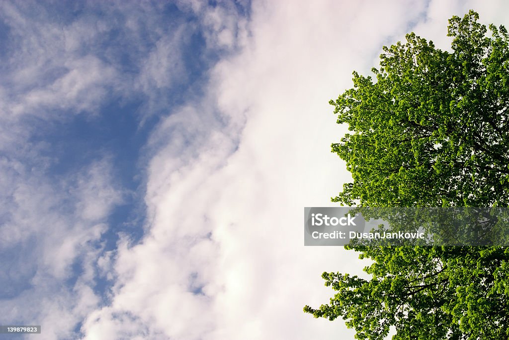 Elementos de la naturaleza - Foto de stock de Abierto libre de derechos