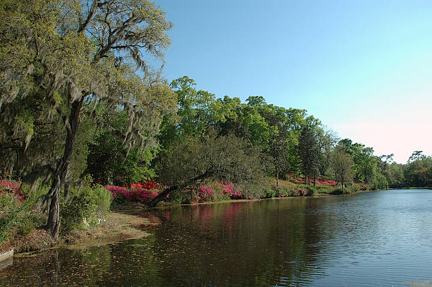Historic Middleton Place, SC