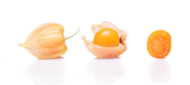 ripe delicious cape gooseberry on white background - gooseberry winter cherry uchuva isolated imagens e fotografias de stock