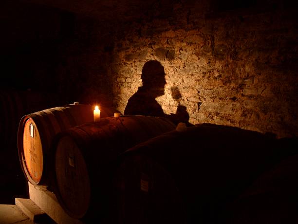 Vintage Spirit The shadow of a wine maker / taster projects on the wall of an underground cellar with barrels in foreground. county clare stock pictures, royalty-free photos & images