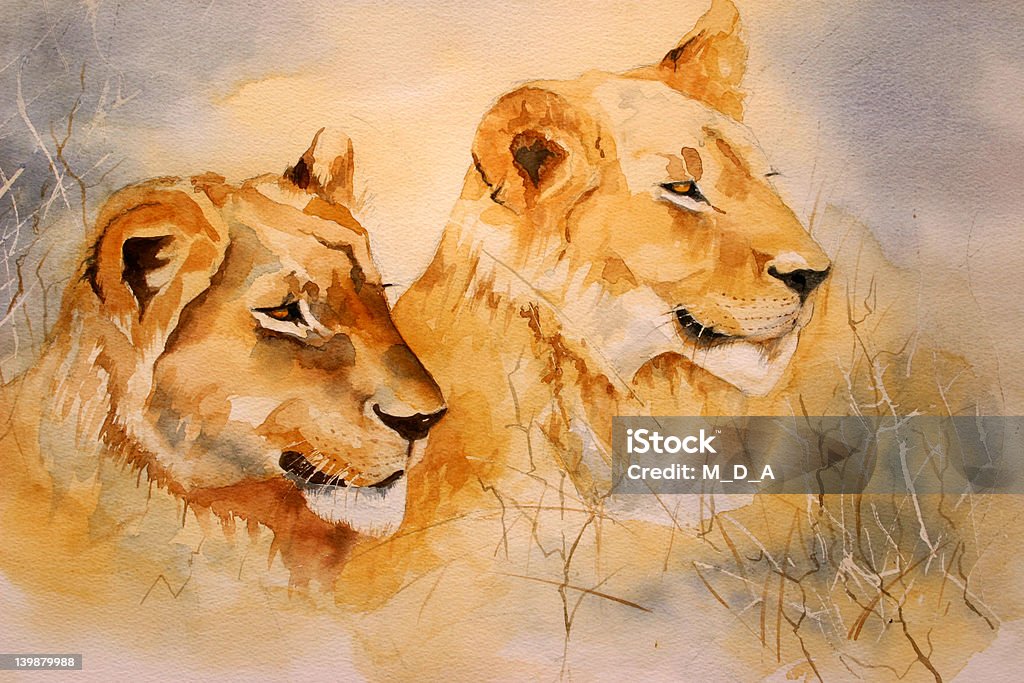 Aquarell: "Lion Staré" - Lizenzfrei Löwe - Großkatze Stock-Illustration