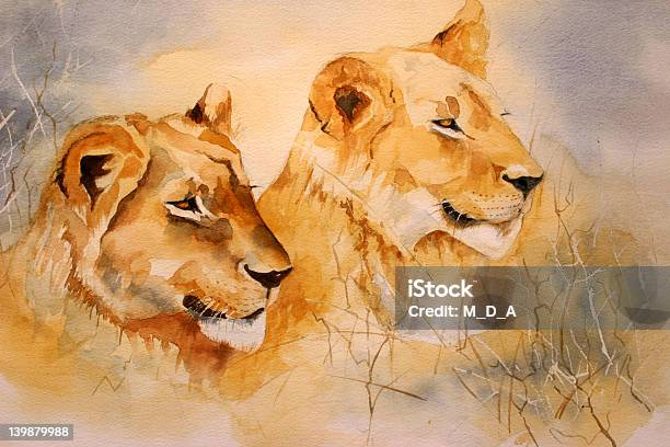 Aquarell Lion Staré Stock Vektor Art und mehr Bilder von Löwe - Großkatze - Löwe - Großkatze, Gemälde, Aquarell