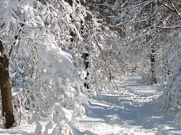 istock Snowy Hiking Trail 139880061
