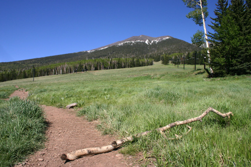 A deserted Spring trail scene up a mountain.