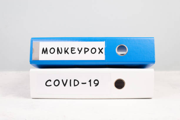 The words monkeypox and Covid-19 are standing on a folder, outbreak of virus infectious disease, processing of the pandemic, documents for evidence stock photo