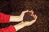 Close up of hands holding heart shaped coffee beans in hands.