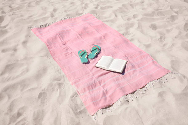 istock Pink striped beach towel, flip flops and book on sand 1398804956