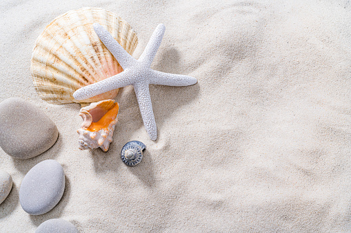 Summer vacations and marine background: starfish, conch shells and sea stones on tropical white sand border shot from above on wooden plank. The composition is at the left of an horizontal frame leaving useful copy space for text and/or logo at the right. High resolution 42Mp digital capture taken with SONY A7rII and Zeiss Batis 40mm F2.0 CF lens
