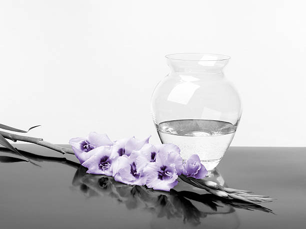 Vaso e fiori - foto stock