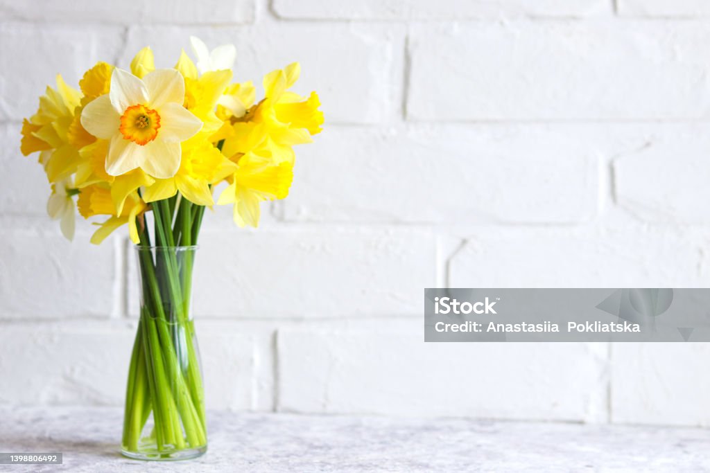 Bouquet of yellow daffodils in a vase against a brick wall. Flower arrangement. Greeting card for the holidays. Minimalism Bouquet of yellow daffodils in a vase against a brick wall. Flower arrangement. Greeting card for the holidays. Minimalism. Daffodil Stock Photo