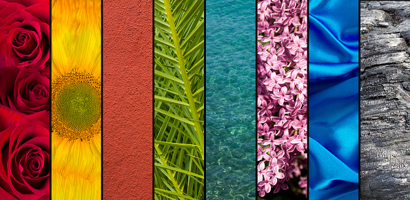 Creative collage. A set of images with natural textures. Close-up.