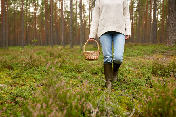 istock woman with basket picking mushrooms in forest 1398808723