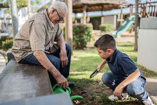Grandfather and grandson gardening outdoors