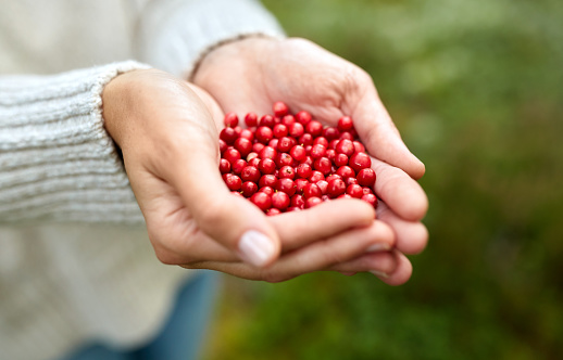 close up of young woman holding berries in hands