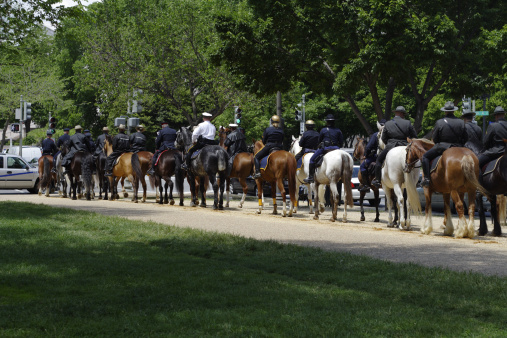 column of horse mounted police officers attending a ceremony at the U.S. Capital honoring police officers killed in the line of duty. May 2006.  - See lightbox for more