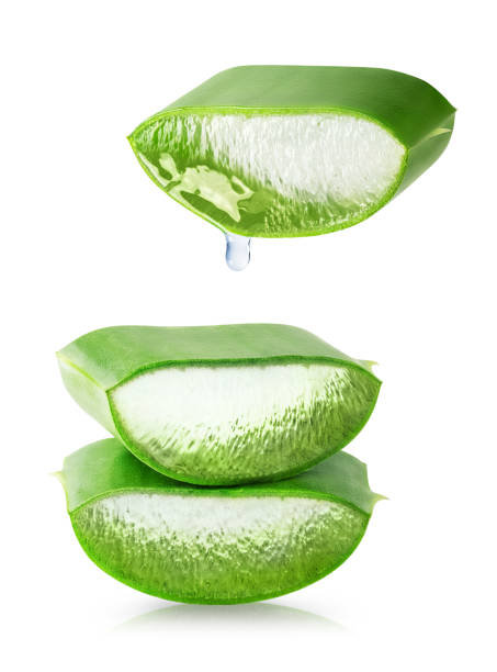 istock Slice of Aloe vera leaf with juice drop isolated on white background. 1398809567