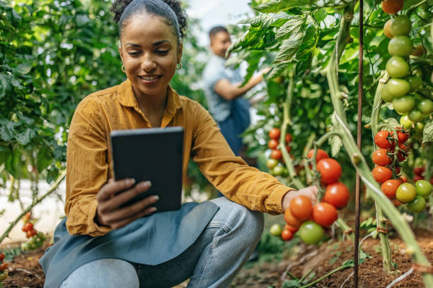 istock People would love my tomatoes 1398811623