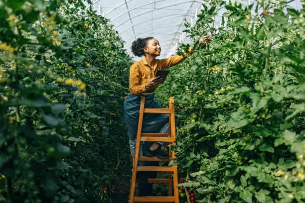 Photo of Controlling the plants