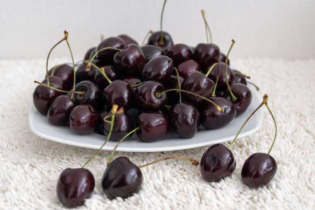 istock Ripe red cherries fruit macro isolated on the plate. 1398812365