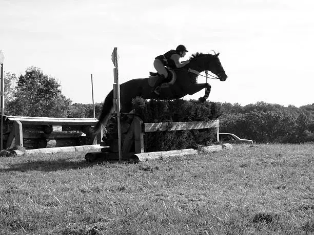 A horse jumping a cross country steeple chase fence against a stark background.