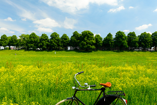 Bike tour through the blooming Rhine meadows near Poll
