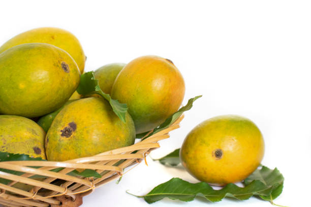 istock indian mangos in a basket on a white background in close up view 1398814240