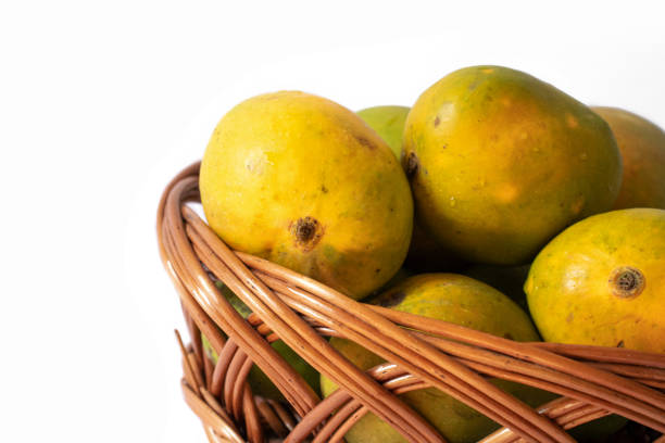 istock indian mangos in a basket on a white background in close up view 1398814506