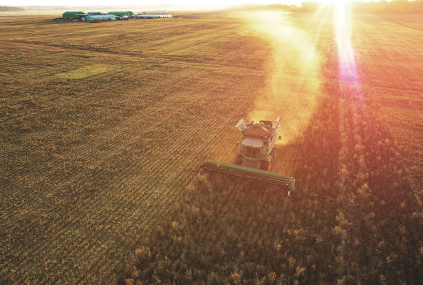 istock Harvester on wheat harvesting. Wheat and corn markets react in crisis worlds breadbasket. 1398815670