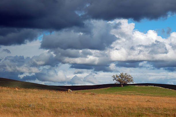 istock edge of the storm 139881571