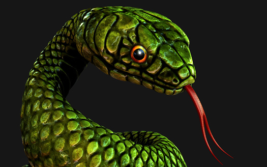 3d Illustration green snake on dark black background, Close up shot, 3d rendering model with clipping path.