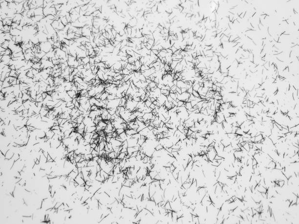 Trimmed beard hair, abstract close-up background